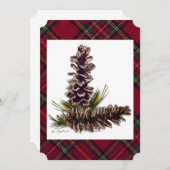 松錐体 (正面/裏面)