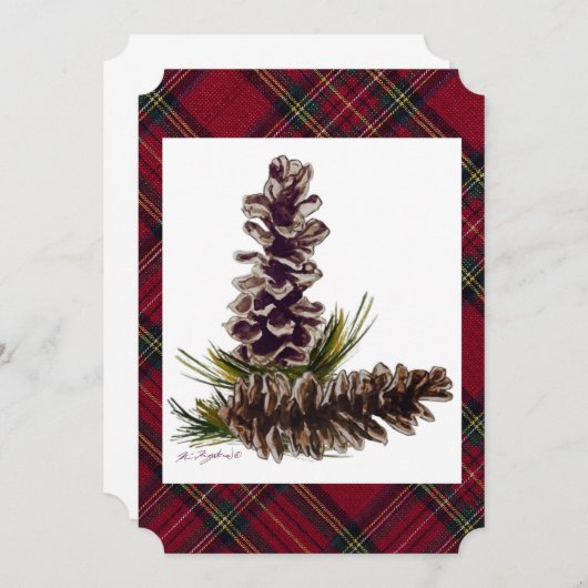 松錐体 (正面/裏面)