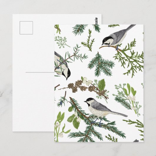 松離れ鳥 ポストカード (正面/裏面)