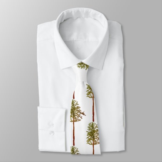 松 ネクタイ (タイ)