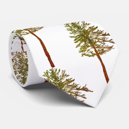 松 ネクタイ (ロール)