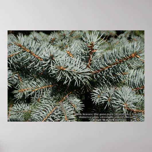 松 ポスター (正面)