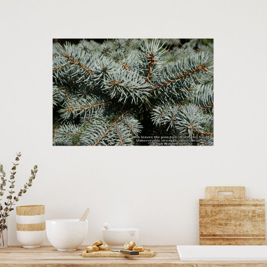 松 ポスター (キッチン)