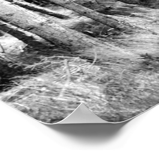 松 ポスター (角)