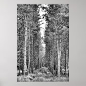 松 ポスター (正面)