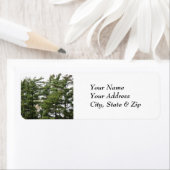 松 ラベル (インサイチュ)