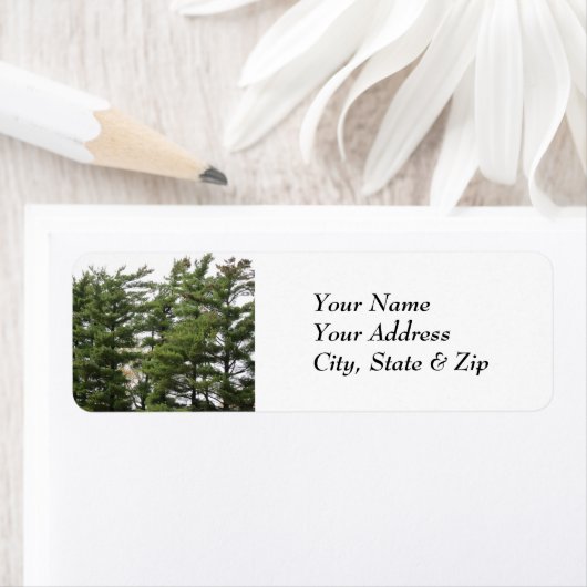 松 ラベル (インサイチュ)