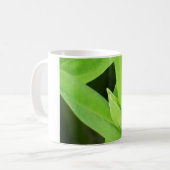 板クール芽 コーヒーマグカップ (正面左)