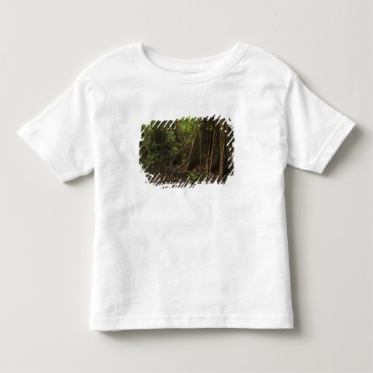 板根。マパリ・ルプヌニの熱帯雨林 トドラーTシャツ (正面)