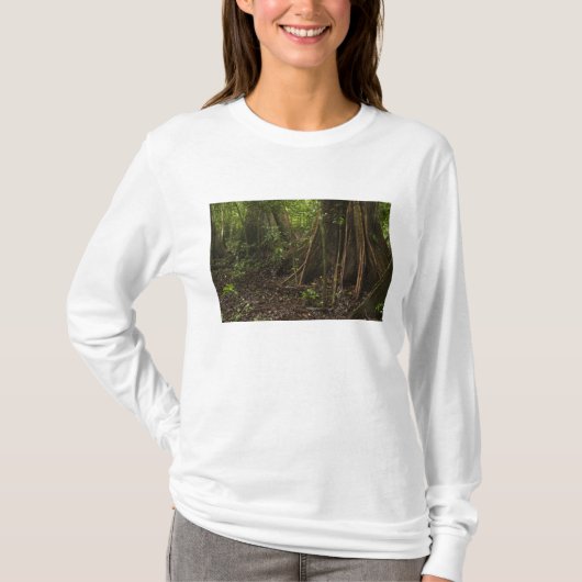 板根。マパリ・ルプヌニの熱帯雨林 Tシャツ (正面)