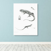 板髪イグアナ キャンバスプリント (インサイチュ (ウッドフロア))