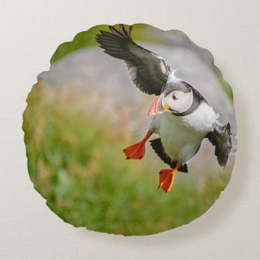 枕のあたりで飛んでいるニシツノメドリの鳥 ラウンドクッション (正面)