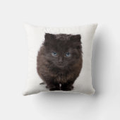 枕のかわいいあくびをする子猫 クッション (裏面)