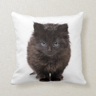 枕のかわいいあくびをする子猫 クッション