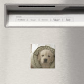 枕のまわりに犬 マグネット (インサイチュ (食洗機))
