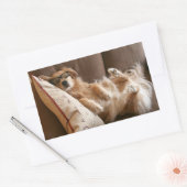 枕の上で眠っているゴールデンレトリバー 長方形シール (封筒)