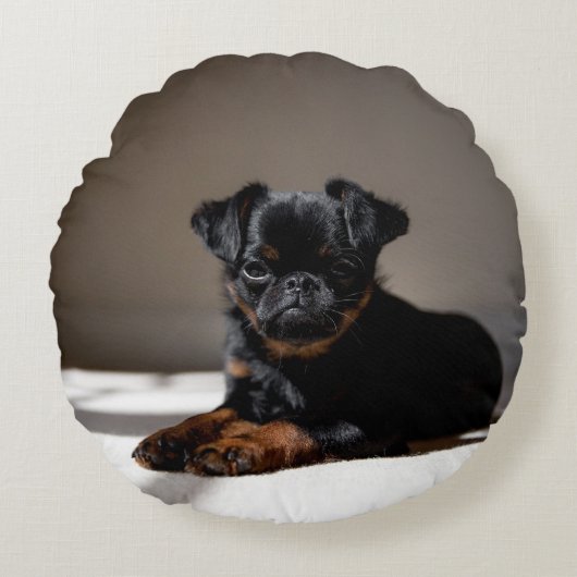 枕の上に甘い子犬。 ラウンドクッション (正面)