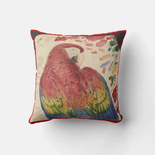 枕の旧式な深紅のコンゴウインコのオウムのスケッチ クッション (裏面)