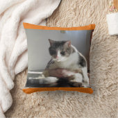 枕の脂肪質の虎猫猫の写真 クッション (ブランケット)
