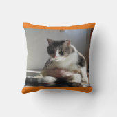 枕の脂肪質の虎猫猫の写真 クッション (裏面)