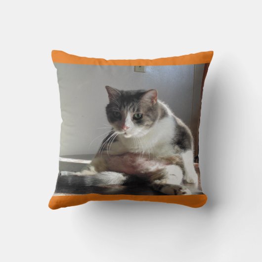 枕の脂肪質の虎猫猫の写真 クッション (裏面)