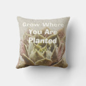 枕を植えた所で多肉栽培 クッション (裏面)