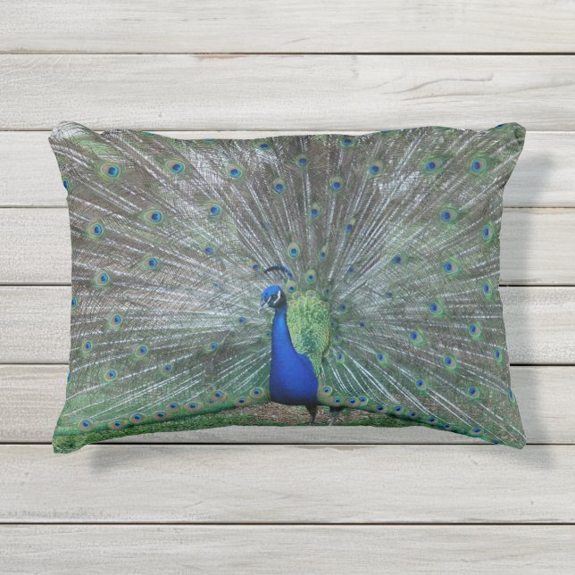 枕を自慢して見せて下さい アウトドアクッション (正面)