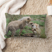 枕を遊んでいるチータ ランバークッション (ブランケット)