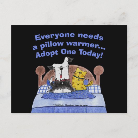 枕ウォーマー ポストカード (正面)