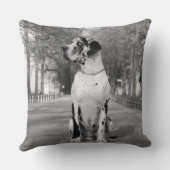 枕グレート・ダン クッション (裏面)