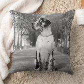 枕グレート・ダン クッション (ブランケット)