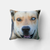 枕ペット クッション (裏面)