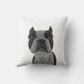 枕ボストンterrior クッション (裏面)