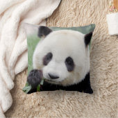 枕写真ジャイアントパンダ1。 クッション (ブランケット)