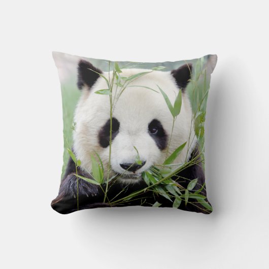 枕写真ジャイアントパンダ4。 クッション (正面)