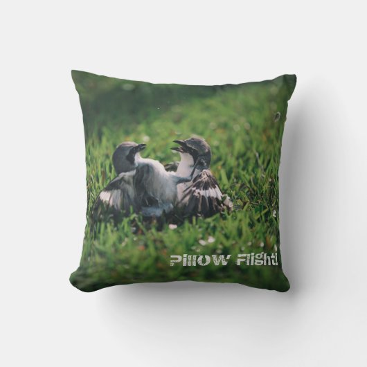 枕飛行! クッション (正面)