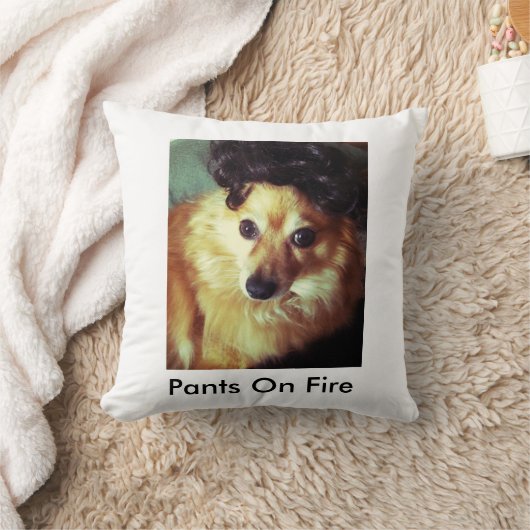 枕 (ブランケット)