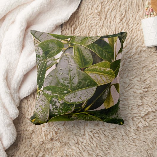 枕 (ブランケット)