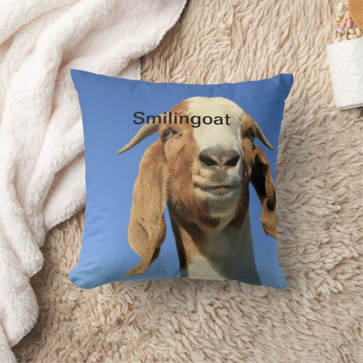 枕 (ブランケット)