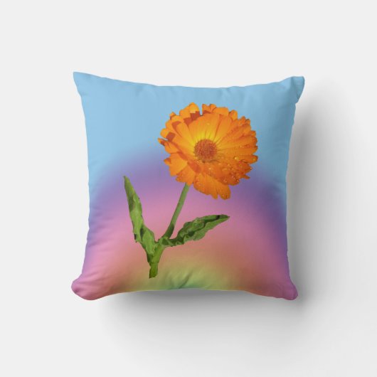 枕 – カレンダーとレインボー (正面)