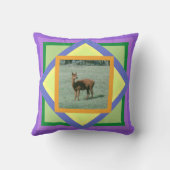 枕 – レインボーカラーの正方形の中のアルパカ (裏面)