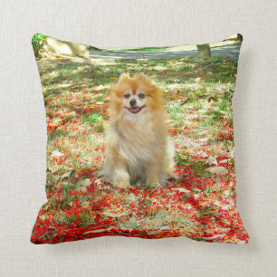 枕 微笑のポメラニア犬の赤の花