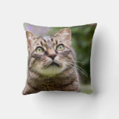 枕-猫- 2つのイメージ- 01 クッション (裏面)