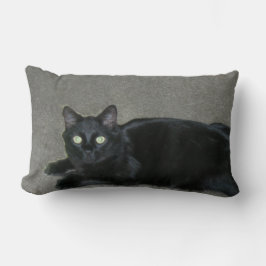枕 – Black Cat on Carpet