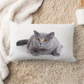 枕Lumbar -猫 ランバークッション (ブランケット)