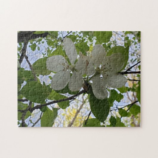 林檎 ジグソーパズル (横)