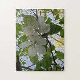 林檎 ジグソーパズル