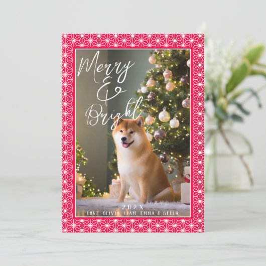 枚 | 朝野羽日本のの着物 シーズンカード (スタンド正面)