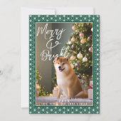 枚 | 朝野羽日本のの着物 シーズンカード (正面)