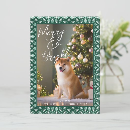 枚 | 朝野羽日本のの着物 シーズンカード (スタンド正面)